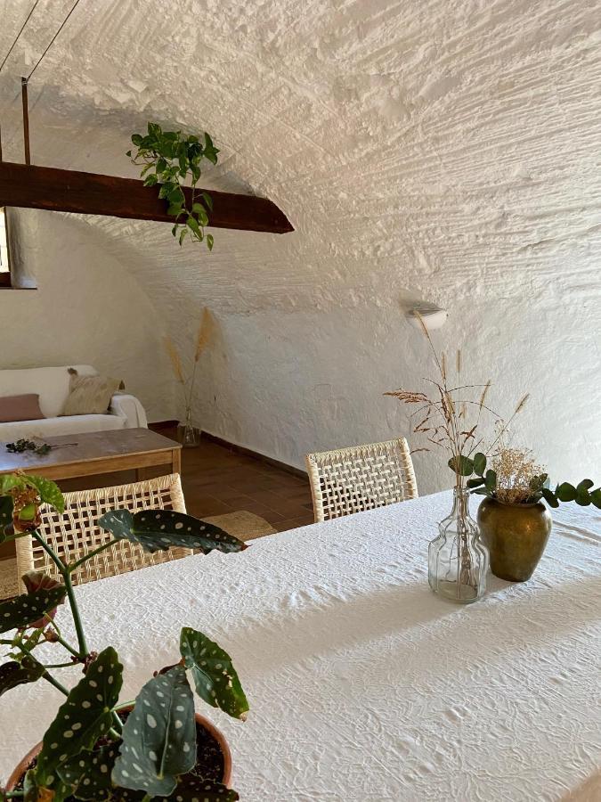 Ecoturisme Mas Ribas 호텔 팔라모스 외부 사진