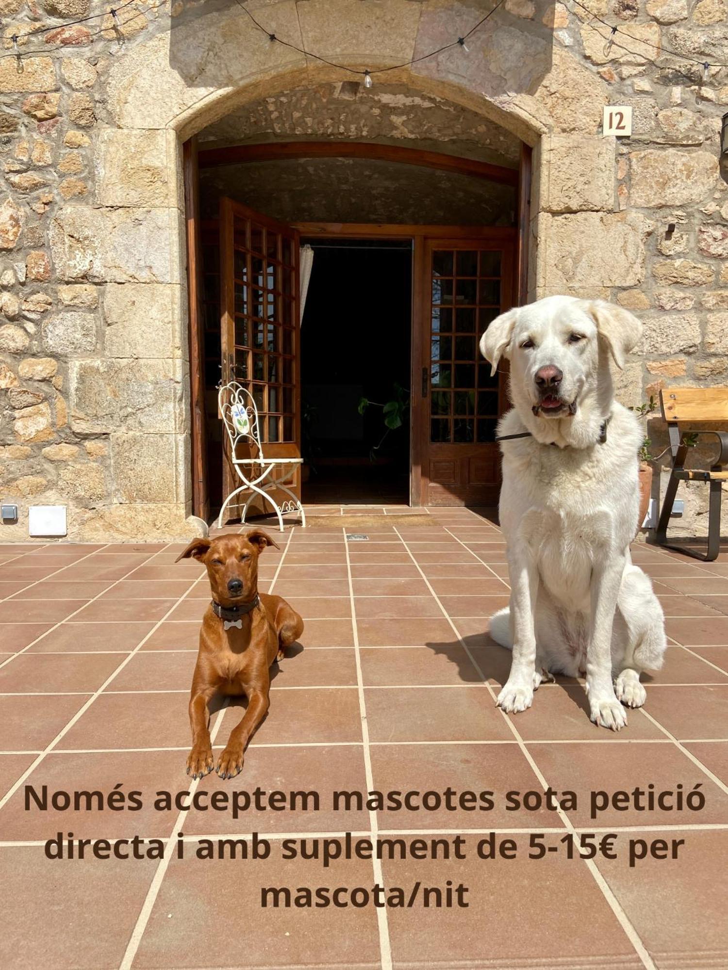 Ecoturisme Mas Ribas 호텔 팔라모스 외부 사진